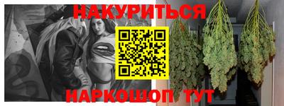 МДПВ Новозыбков