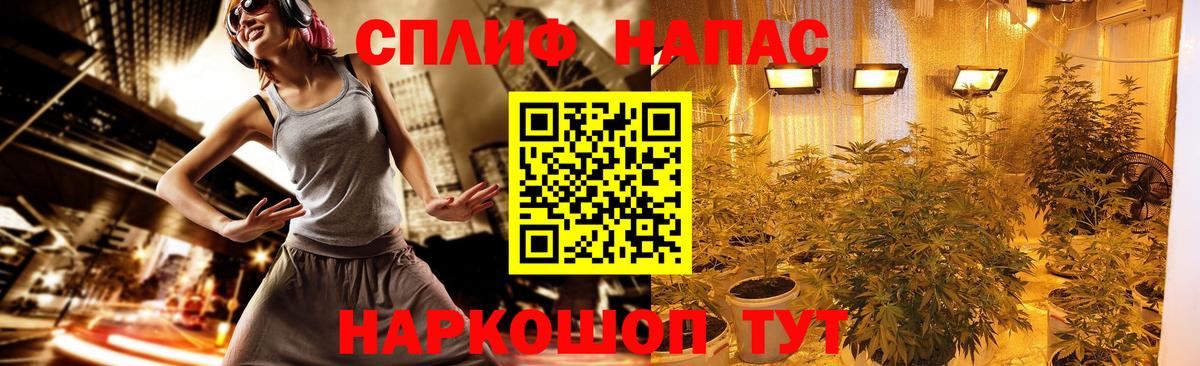 Марихуана планчик  Конопля AK-47  Вход с VPN  Шишки марихуана сатива  Строитель 